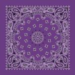 600pcs/Case, CM Western Paisley Bandanas in Bulk Imported 100% cotton, Purple / Grape, 22" x 22"