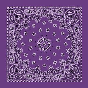 600pcs/Case, CM Western Paisley Bandanas in Bulk Imported 100% cotton, Purple / Grape, 22" x 22"