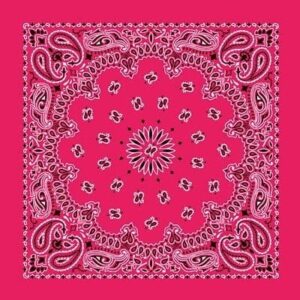 600pcs/Case, CM Western Paisley Bandanas in Bulk Imported 100% cotton, Hot Pink, 22" x 22"
