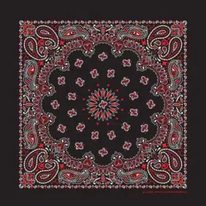 1 piece, Western Paisley Bandana - Made in USA 100% Cotton, Black and Red (SS), 22" x 22"