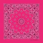 12 pieces, Western Paisley Bandana - Made in USA 100% Cotton, Hot Pink, 22" x 22"