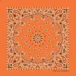 12 pieces, Western Paisley Bandana - Made in USA 100% Cotton, Orange, 22" x 22"
