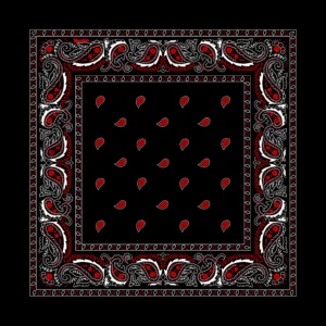 Classic Paisley Bandana Imported, 22x22, 1 Piece, Black with Red