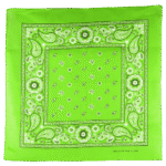 1 Piece, Square Floral Paisley Bandana, Double-Sided Print, Lime Green, 22 x 22″