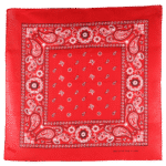 Red Square Floral Paisley Bandana - Single Piece 22x22