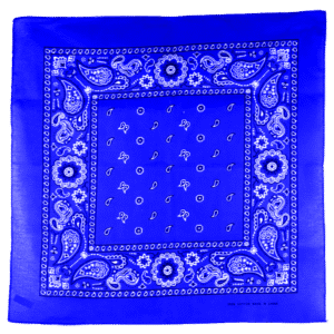 1 Piece, Square Floral Paisley Bandana, Double-Sided Print, Royal Blue, 22 x 22″