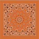 1 piece, Western Paisley Bandana – Made in USA 100% Cotton, Burnt Orange, 22″ x 22″