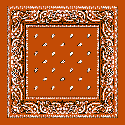 1pc Burnt Orange (Rust) Classic Paisley Handkerchiefs - Imported - 100% cotton
