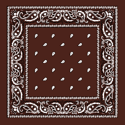 12pcs Dark Brown Classic Paisley Handkerchiefs - Imported - 100% cotton