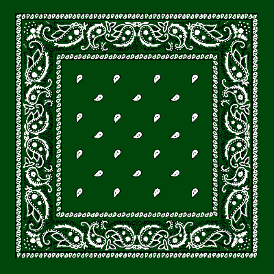1pc Hunter Green Paisley Handkerchief - Single 1pc 22x22