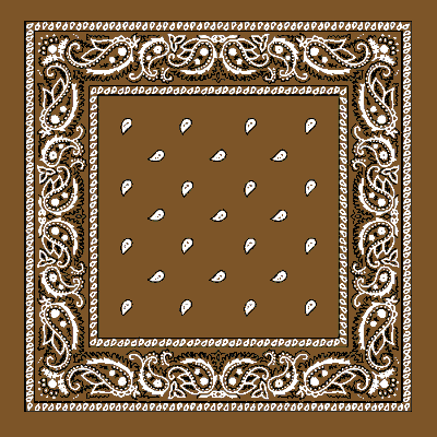 12pcs Brown Paisley Handkerchiefs - Dozen Packed 22x22