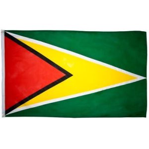 Guyana Flag - 3ft x 5ft Polyester - Imported