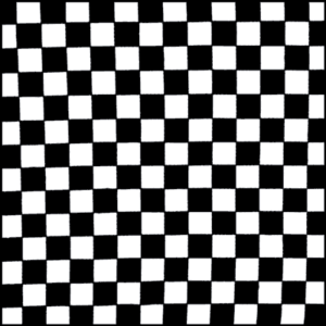 A pattern of alternating black and white squares fills the entire area creating a checkerboard effect that emphasizes contrast and symmetry within a two-dimensional context.