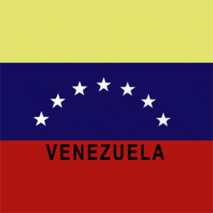Venezuela Flag Bandana - 22x22 Inch