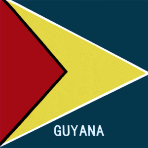 Guyana Flag Bandana - 22x22 Inch
