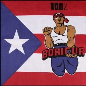 Puerto Rico Flag - 100% Boricur Bandana - 22x22 Inch