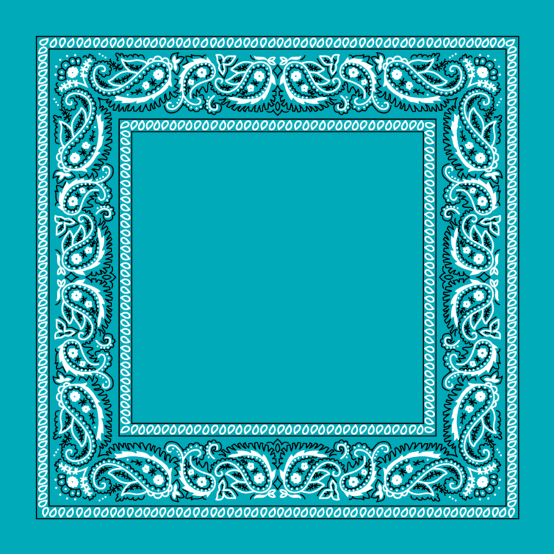 A decorative square frame features intricate paisley patterns in white against a solid turquoise background creating an elegant border surrounding an empty central space.