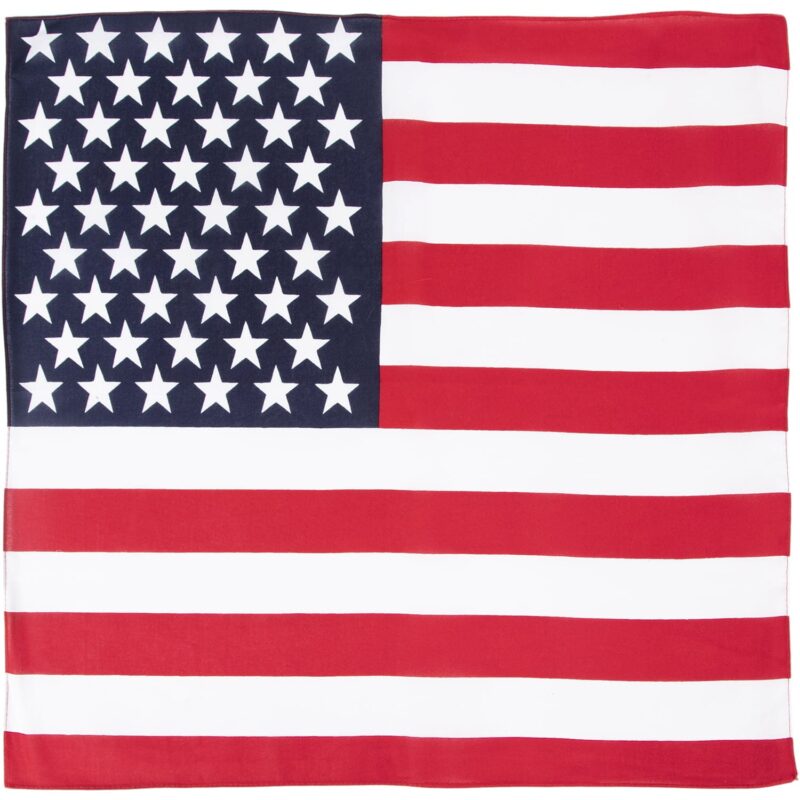 A flag featuring alternating red and white stripes with a blue field in the upper left corner containing white five-pointed stars represents the United States  often displayed during national celebrations.