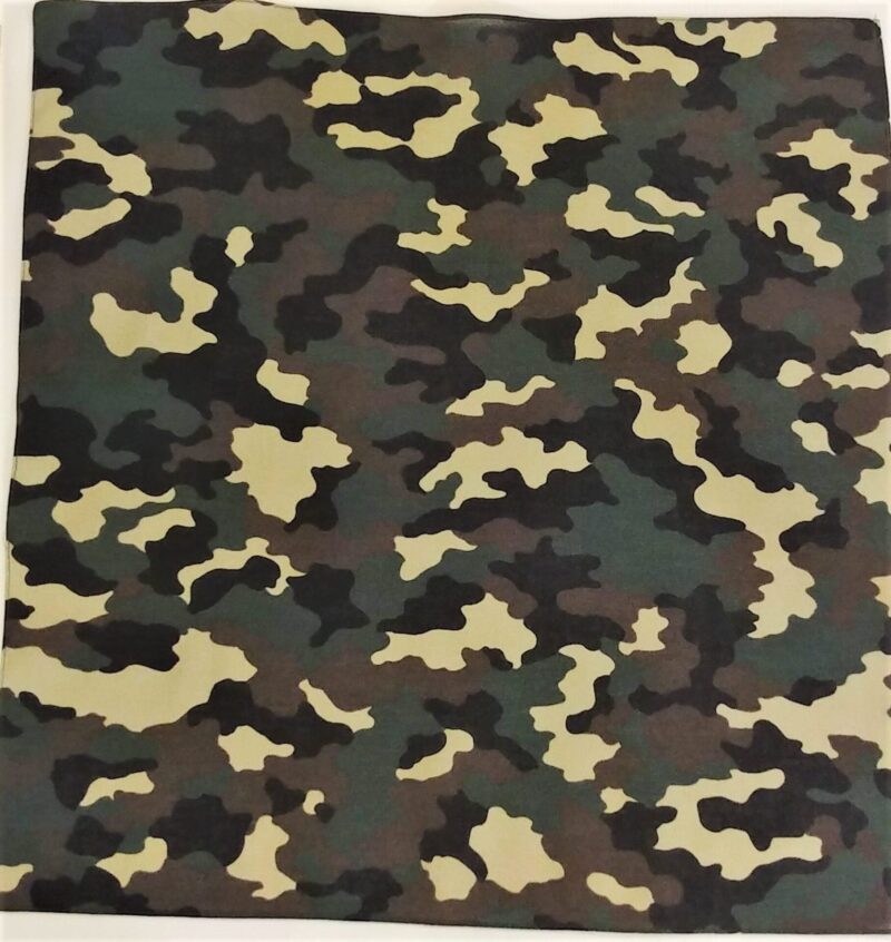 A square piece of fabric in a camouflage pattern displays irregular shapes in shades of green brown and beige blending together creating a textured military-inspired design.
