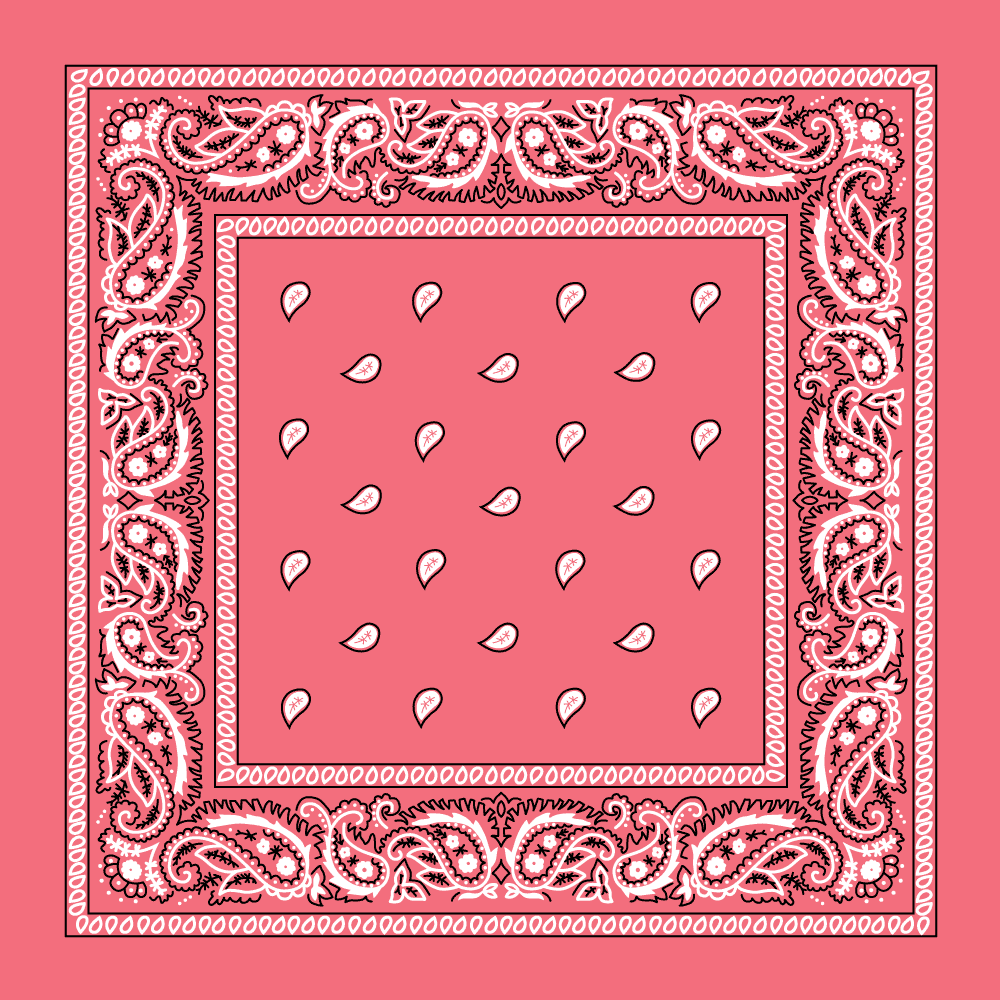Pink Paisley BANDANAs - Dozen Packed 14x14