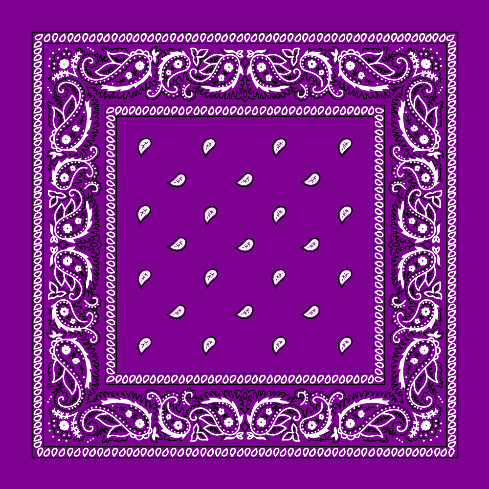 1pc Grape / Purple Grape / Purple  Paisley Bandana Imported 100% Cotton 22