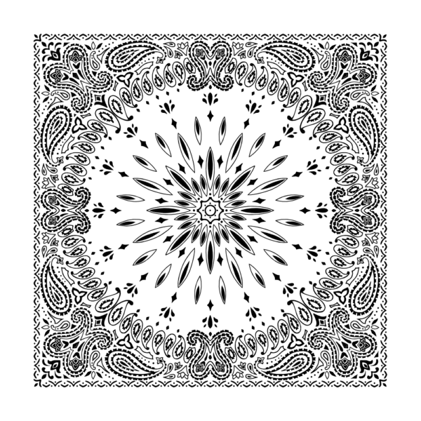 A detailed black and white paisley-patterned textile is centered around a starburst design with intricate swirls and shapes radiating from the center towards a decorative border.