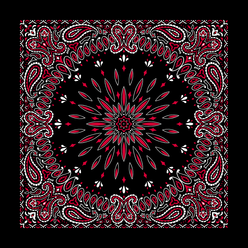 1pc Black with Red Black with Red Circular Burst Paisley Bandana Imported 100% Cotton 22