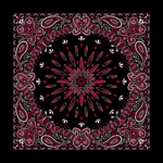 A patterned bandana features a black background with intricate designs in red and white. The central motif displays a star-like shape surrounded by ornate paisley elements.