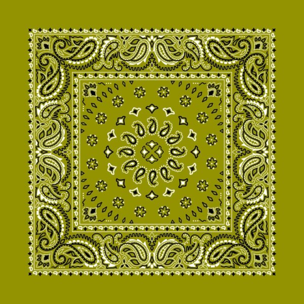 A patterned green bandana displays intricate white paisley designs and floral motifs arranged symmetrically in a decorative layout dominating the surface against a solid green background.