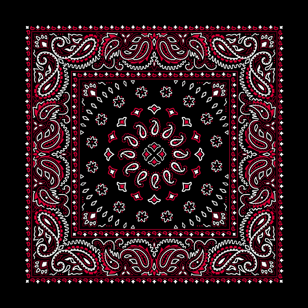 1pc Black with Red Black with Red Square Burst Paisley Bandana Imported 100% Cotton 22