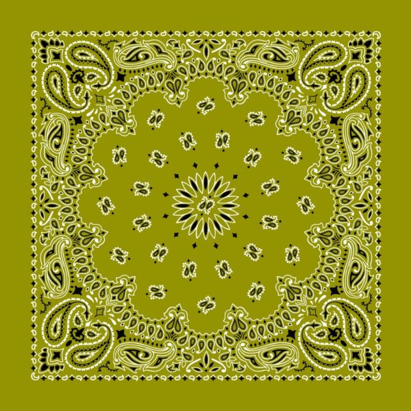 A decorative bandana features intricate paisley patterns in white and black on a solid olive green background with a central floral design and symmetrical motifs radiating outward.
