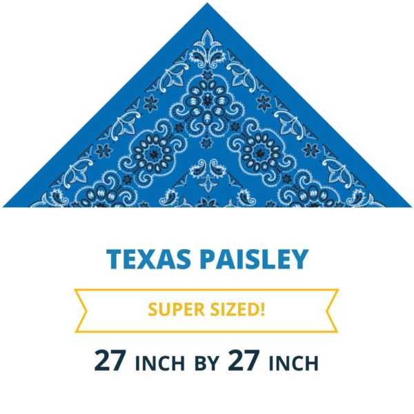CM Texas Paisley Imported 100%