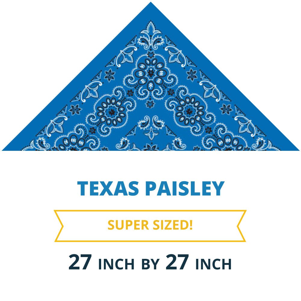 CM Texas Paisley Imported 100%