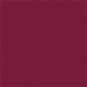 A solid maroon background fills the space showcasing a textured surface creating a rich and warm visual experience without any visible objects or actions in the scene.
