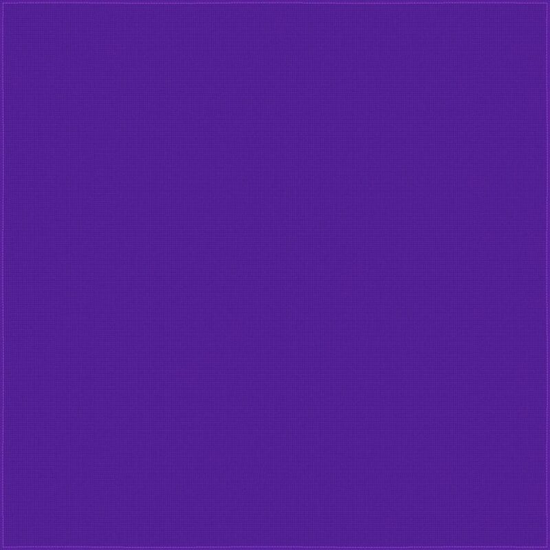A solid purple background occupies the entire space creating a uniform color field with a textured appearance that enhances the richness of the purple hue.