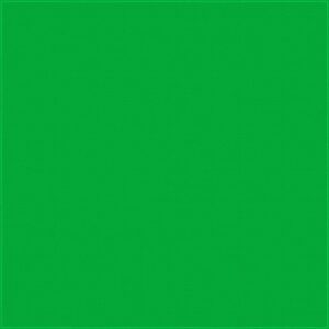 A solid green panel fills the space with a uniform color texture creating a bright and vibrant backdrop suggesting an artistic or design element in a minimalist context.