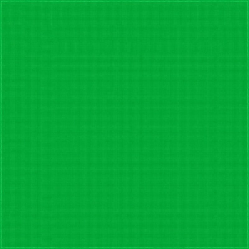 A solid green panel fills the space with a uniform color texture creating a bright and vibrant backdrop suggesting an artistic or design element in a minimalist context.