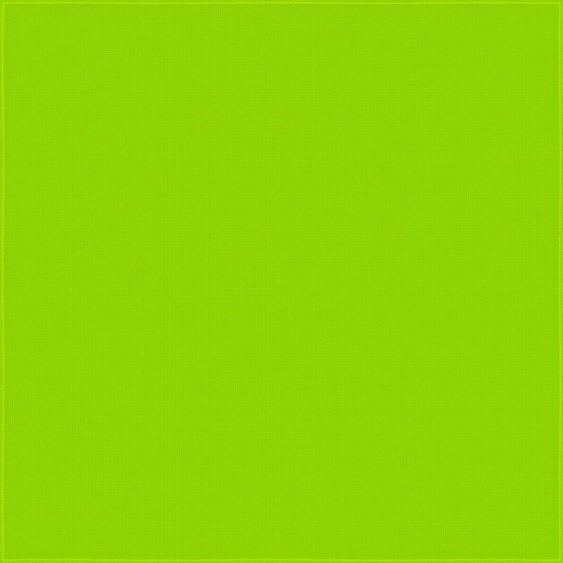 A solid green background fills the space creating a uniform and vibrant visual atmosphere suitable for various contexts such as design or digital art.