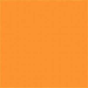 A solid orange canvas fills the frame displaying a textured surface that creates warmth and vibrancy suggesting an artistic or decorative context without any additional elements or imagery present.