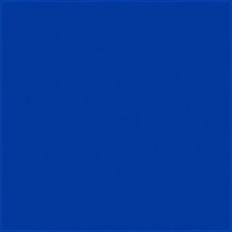 A solid blue canvas occupies the entire frame creating a uniform and vibrant background suggesting a serene and minimalist aesthetic with no additional objects or textures present