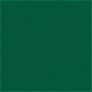 A solid green surface fills the view with a consistent texture creating a uniform background that evokes a simple and calm aesthetic without any objects or action present.