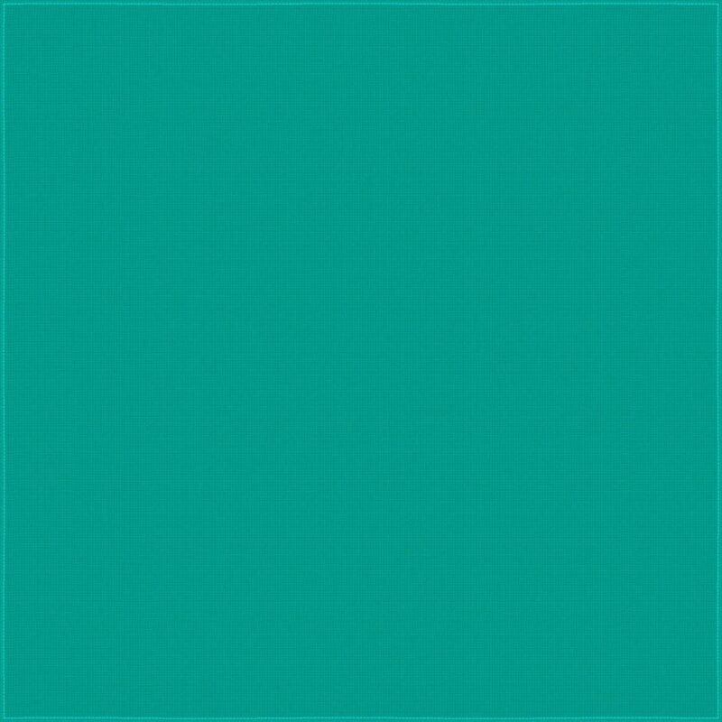 A solid teal background fills the frame creating a vibrant and uniform surface that draws attention without any texture or additional elements present.