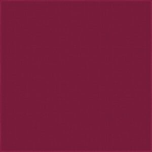 A textured maroon background fills the space creating a solid color canvas with a subtle pattern visible across the surface providing depth and richness to the visual field.