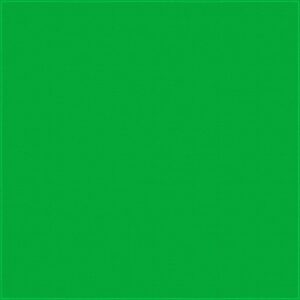 A solid green surface fills the frame creating a uniform backdrop that offers no distinguishing features or context to suggest any specific location or activity