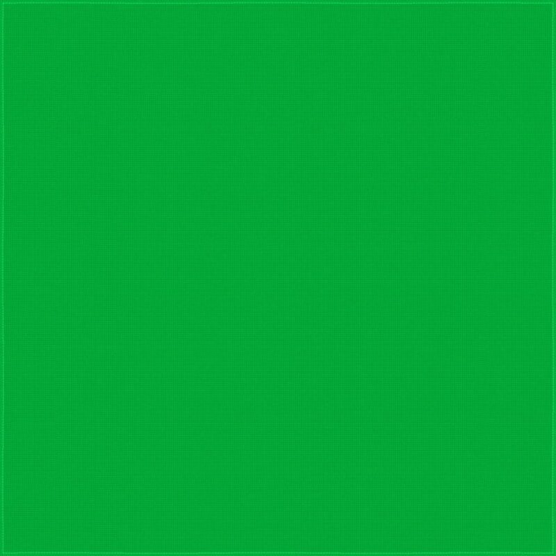 A solid green surface fills the frame creating a uniform backdrop that offers no distinguishing features or context to suggest any specific location or activity