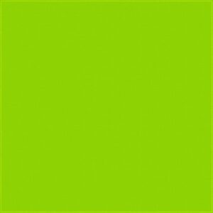 A bright green surface fills the entirety of the space creating a vibrant and uniform background that conveys a sense of freshness and energy without any objects or text present.