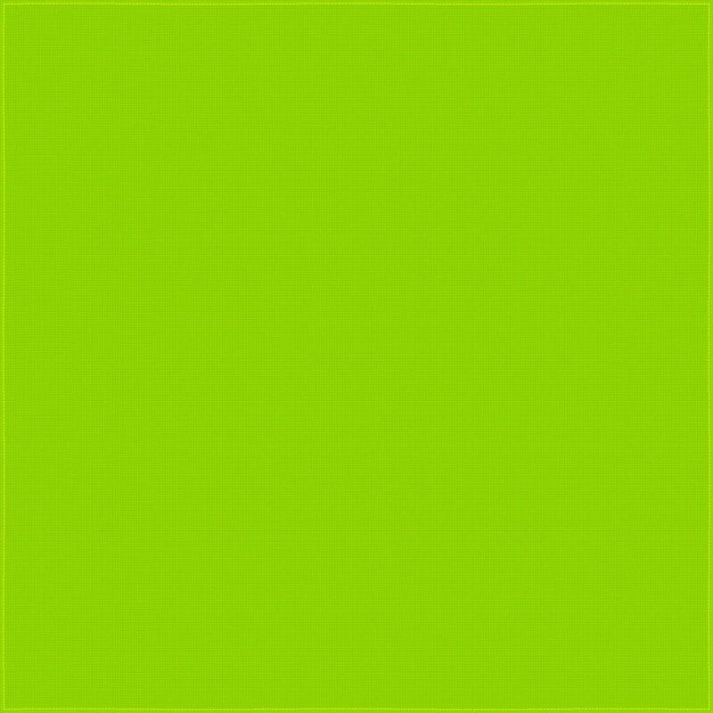 A bright green surface fills the entirety of the space creating a vibrant and uniform background that conveys a sense of freshness and energy without any objects or text present.