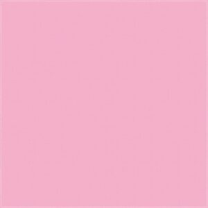 A smooth pink surface fills the space providing a vibrant yet calming backdrop suggesting a playful or cheerful context without any additional objects or actions present.