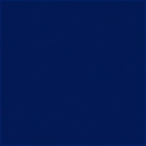 A solid dark blue background with a subtle grid pattern creates a uniform and serene context without any discernible objects or actions represented.