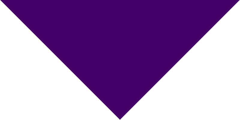 Purple Solid Triangle BANDANA - Single Piece 14x20x14